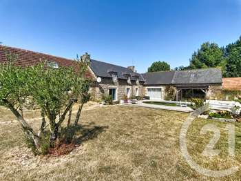 Vente maison 8 pièces Plélo 22