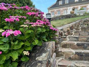 Vente maison 10 pièces Pléneuf-Val-André 22