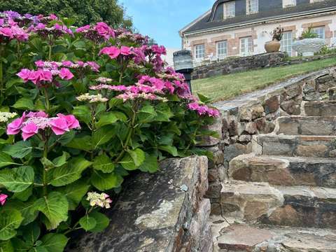 Vente maison 10 pièces Pléneuf-Val-André 22