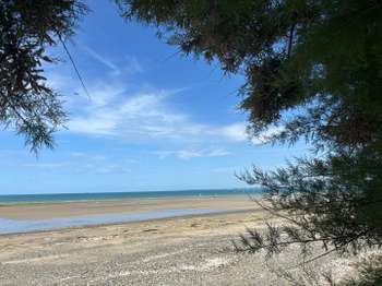 Vente maison 6 pièces Plérin 22