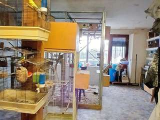 Vente maison 12 pièces Vente maison 12 pièces