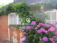 Vente maison 13 pièces