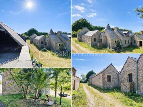Vente maison 10 pièces