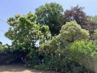 Vente maison 14 pièces