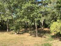 Vente maison 14 pièces
