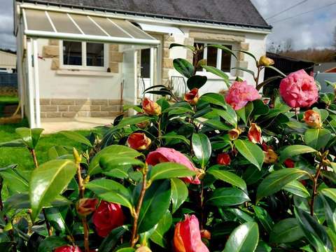 Vente maison 3 pièces Ploërdut 56