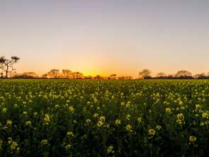 Vente Maison 5 chambresPloeren