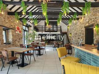 Vente maison 20 pièces