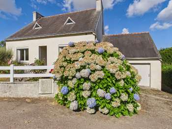 Vente Maison 4 chambresPlonéour-Lanvern