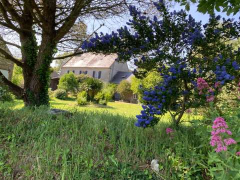 Vente maison 10 pièces Plonévez-Porzay 29