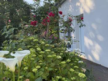 Vente Maison 4 chambresPlougoumelen