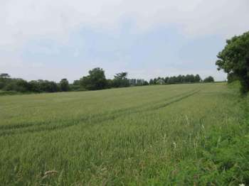 Vente maison 1 pièce Plouhinec 29