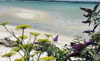 Photo Vente maison Plouider
