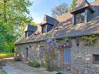 Vente maison 14 pièces