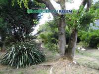 Vente maison 1 pièce
