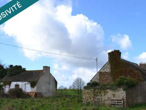 Vente maison 3 pièces Plouvorn 29