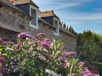 Vente maison 13 pièces