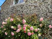 Vente maison 13 pièces