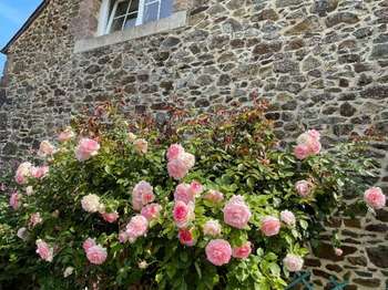 Vente maison 13 pièces