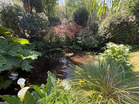 Vente maison 5 pièces Pluguffan 29