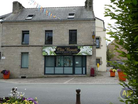 Vente maison 12 pièces Plumelec 56