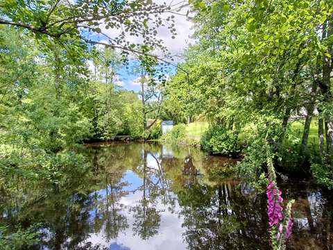 Vente maison 7 pièces Plumergat 56