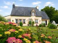 Vente maison 10 pièces