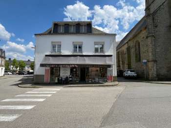 Vente maison 9 pièces Pluvigner 56