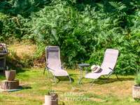 Vente maison 16 pièces