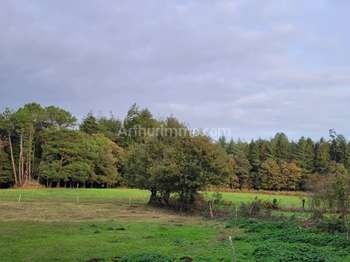Vente Maison 3 chambresPluvigner