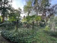 Vente maison 25 pièces