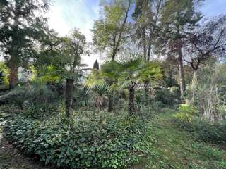 Vente maison 25 pièces