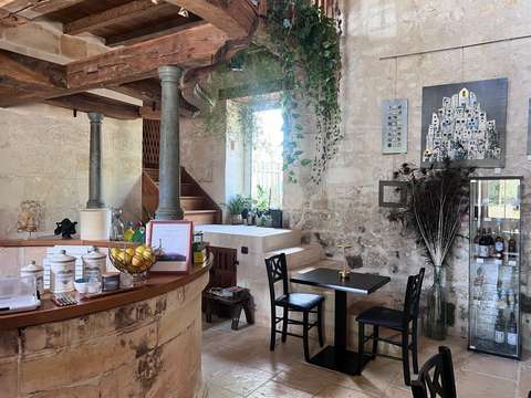 Vente maison 11 pièces Pons 17