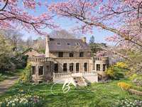 Vente maison 10 pièces