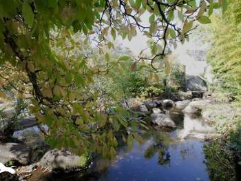 Vente Maison 3 chambresPont-Aven
