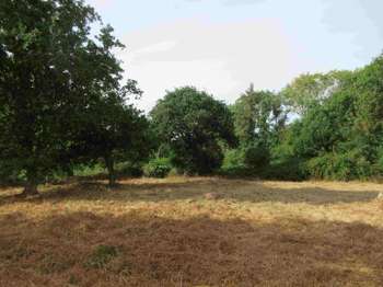 Vente maison 1 pièce