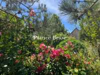 Vente maison 11 pièces