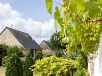 Vente maison 11 pièces