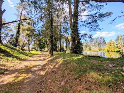 Vente maison 5 pièces Pontchâteau 44