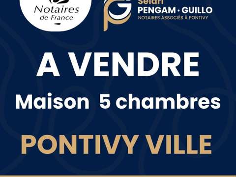 Vente maison 7 pièces