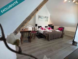 Vente maison 15 pièces