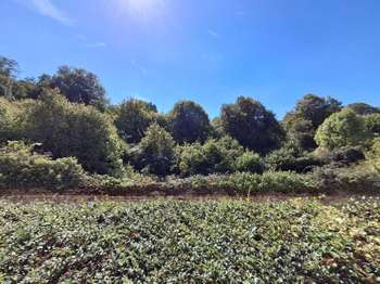 Vente Maison 4 chambresPonts-sur-Seulles