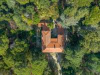 Vente maison 12 pièces