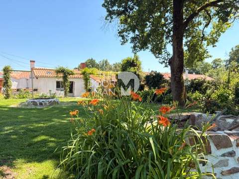 Vente maison 5 pièces Port-Saint-Père 44