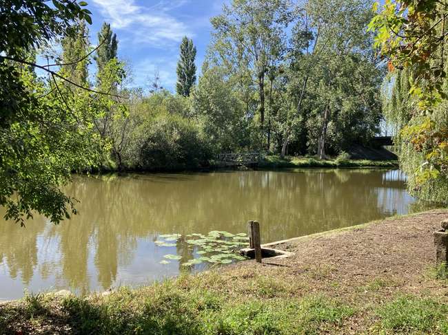 Maison 7 pièces 151 m² · à Port-Saint-Père · 151 m² · 349 900 €