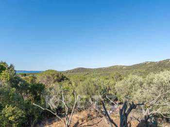 Vente Maison 4 chambresPorto-Vecchio