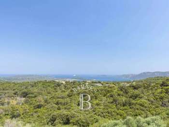 Vente maison 11 pièces Porto-Vecchio 2A