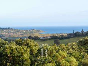 Vente maison 6 pièces Porto-Vecchio 2A