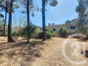 Vente maison 5 pièces Porto-Vecchio 2A