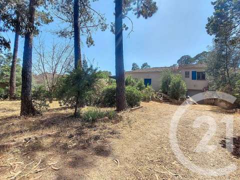 Vente maison 5 pièces Porto-Vecchio 2A